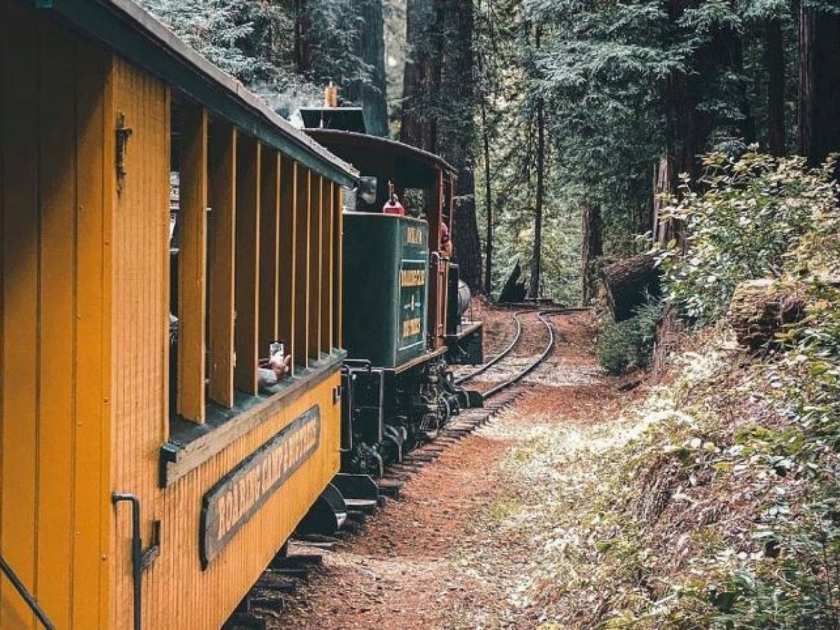 A vintage train travels through a serene forest on a curved track, surrounded by tall trees and lush greenery, creating a peaceful scenic view.