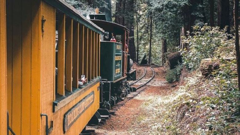 A vintage train travels through a serene forest on a curved track, surrounded by tall trees and lush greenery, creating a peaceful scenic view.