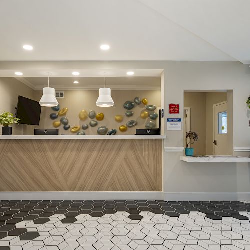 This image shows a modern hotel reception area with a check-in counter, decorative wall art, plants, pendant lights, and hexagonal floor tiles.