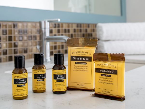 The image shows travel-sized toiletries: citrus conditioner, body lotion, shampoo, body bar, and facial bar, placed on a bathroom counter.