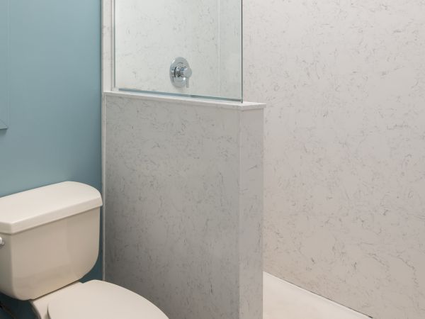 The image shows a small bathroom with a toilet, toilet paper holder, and a walk-in shower separated by a glass panel and partial wall.