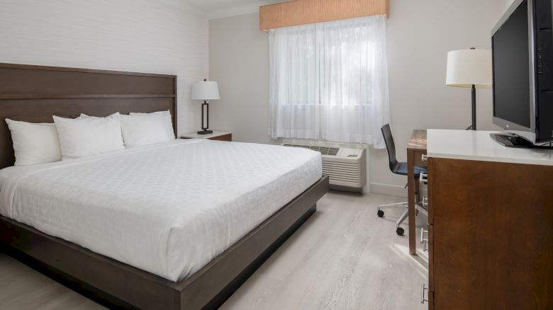 A modern hotel room with a king-size bed, white linens, bedside tables with lamps, desk with chair, TV on a dresser, and a window with white curtains.