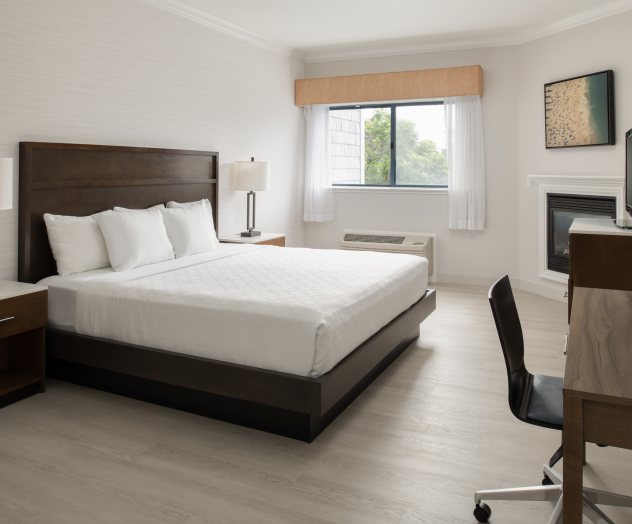 A modern hotel room with a large bed, desk, chair, lamps, and a window. The decor is minimalistic and clean.